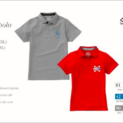 Polo's borduren met logo